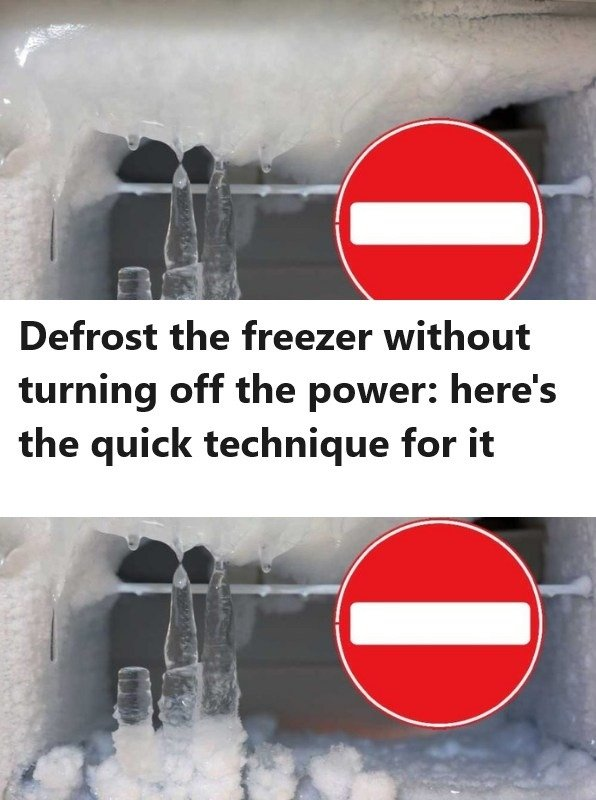 Defrost the freezer without turning off the power: here’s the quick technique for it