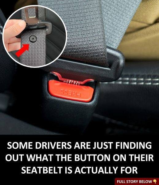 What is the little button on the seat belt for? A little-known use.