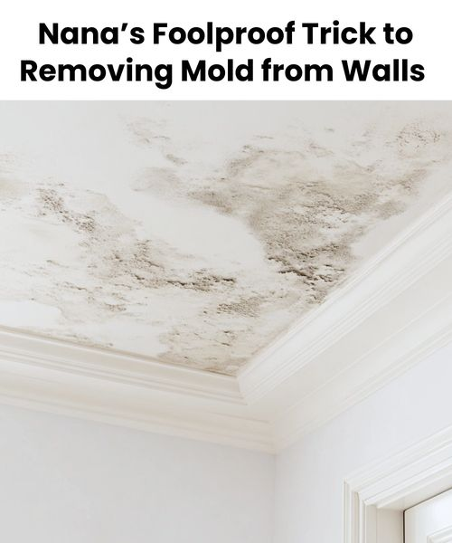 Nana’s Foolproof Trick to Removing Mold from Walls