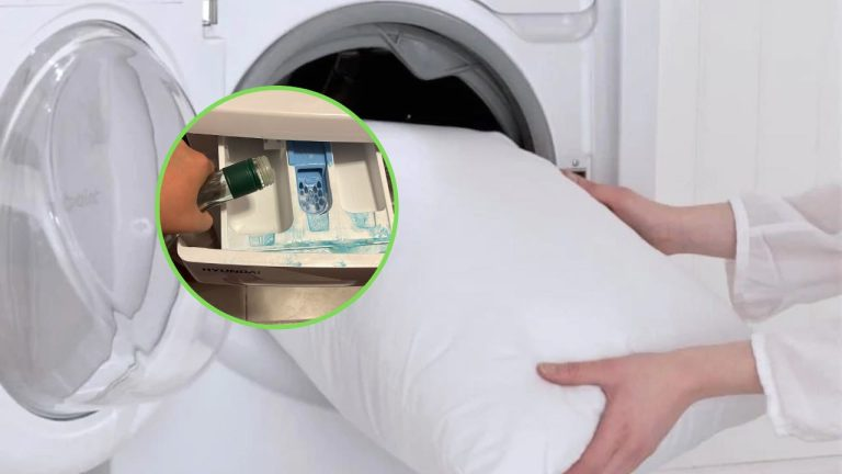 BED PILLOWS, HOW TO FRESHEN THEM: THEY ALWAYS DO THIS STEP IN THE LAUNDRY