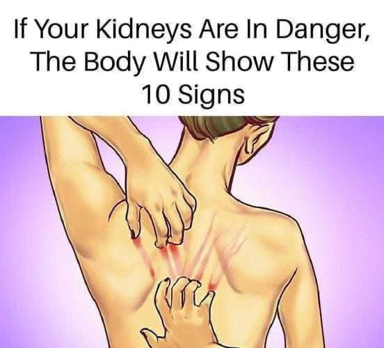 10 Warning Signs Your Kidneys May Be in Danger