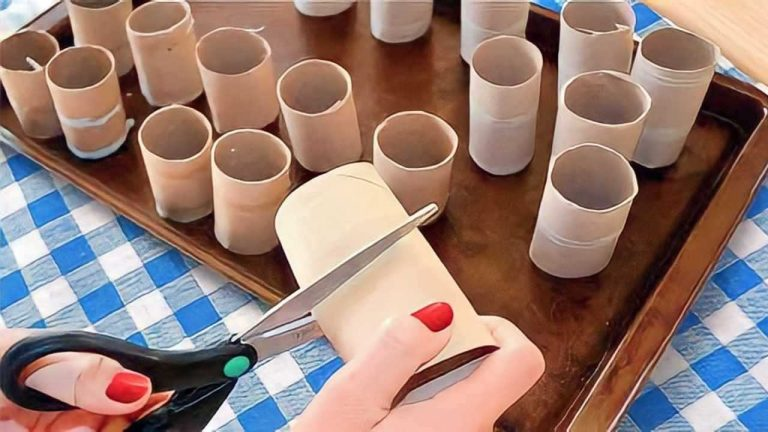 TOILET PAPER ROLLS, THROWING THEM AWAY IS A BIG MISTAKE: REUSE THEM LIKE THIS | THEY ARE WORTH GOLD