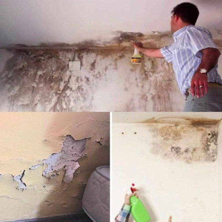 How to remove moisture from walls so it never comes back