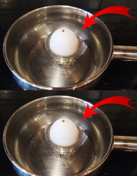 Put the egg in a glass and let it boil. The result will surprise you.