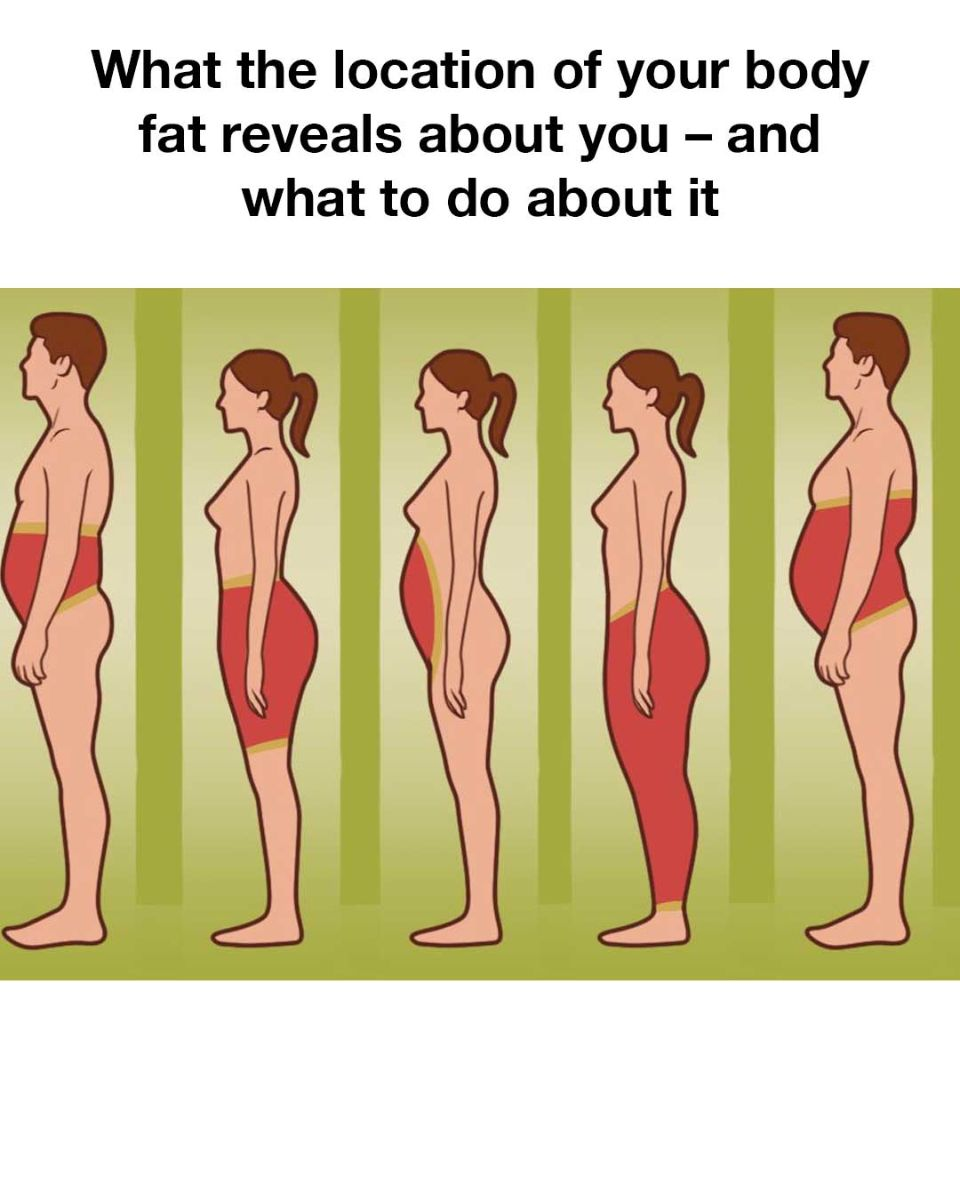 This makes things so much clearer! The Hidden Impact of Body Fat Distribution on Health.