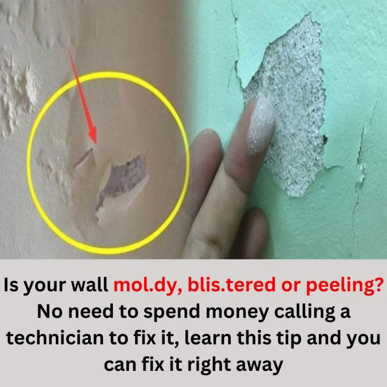 No need to call a technician, the situation will be resolved if you know this tip!