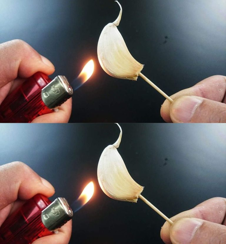 Pure Magic: Burning a Clove of Garlic, What Happens After 15 Minutes at Home?