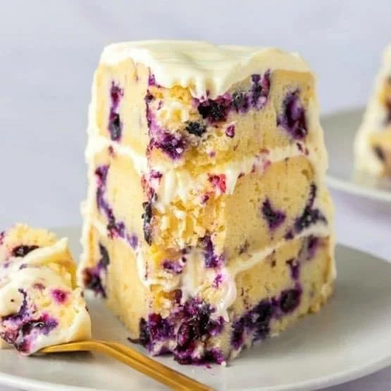 Vegan Lemon Blueberry Cake