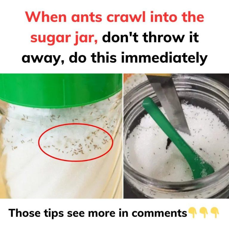 When ants crawl into the sugar jar, don’t throw it awaya