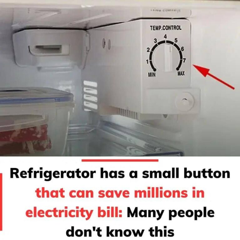 Refrigerator has a small button that can save millions in electricity bill: Many people don’t know this