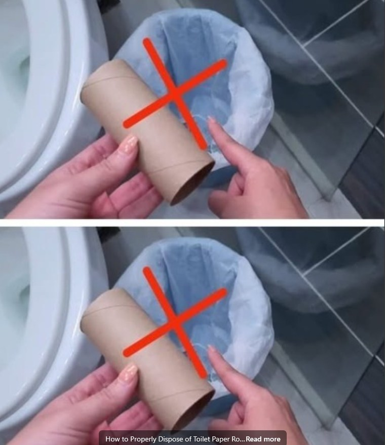 How to Properly Dispose of Toilet Paper Rolls