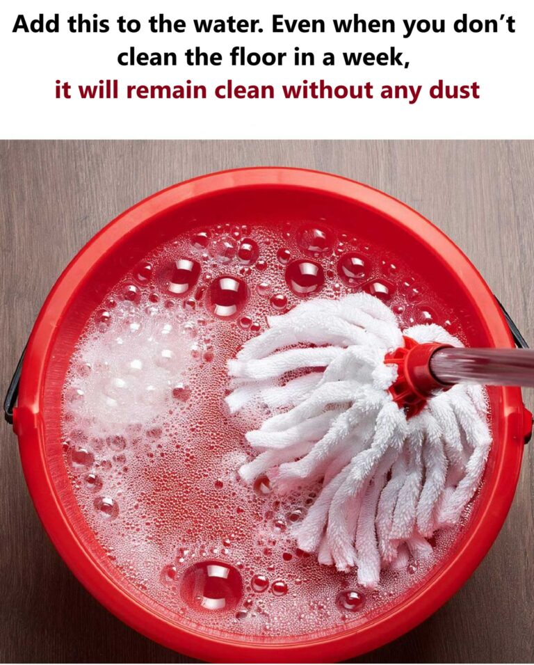 Add this to the water. Even when you don’t clean the floor in a week,