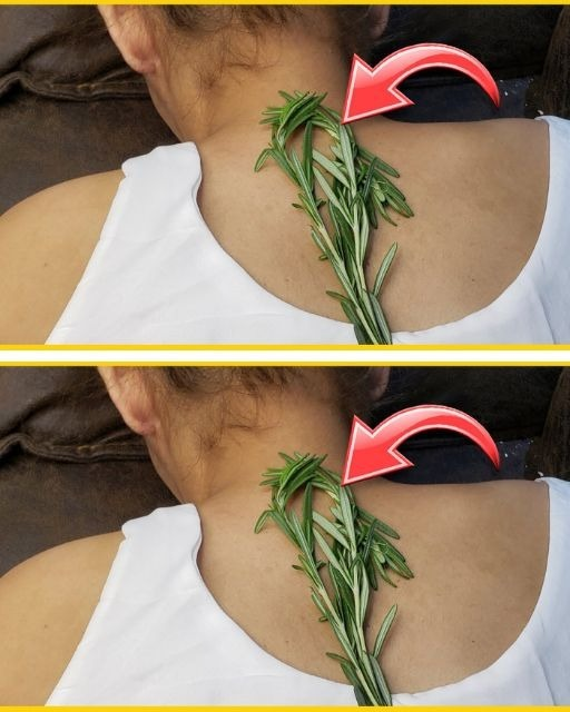 The reason why everyone is using Rosemary on their neck