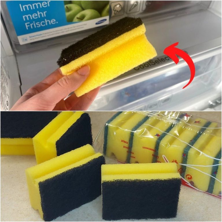 The Fridge Hack You Wish You Knew Sooner  A Simple Sponge Trick