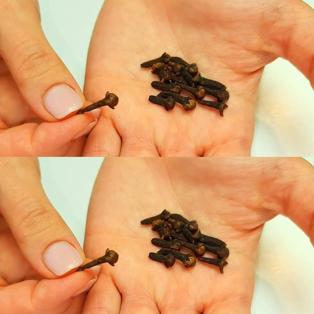 Clear Your Lungs and Stop Coughing in Three Days: A Clove Remedy for Bronchitis