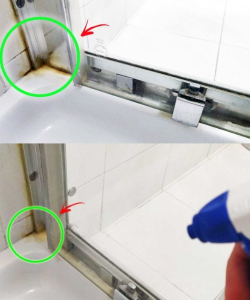 How to remove mold from silicone in the shower