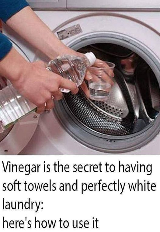 Keeping Your Washing Machine’s Interior Clean