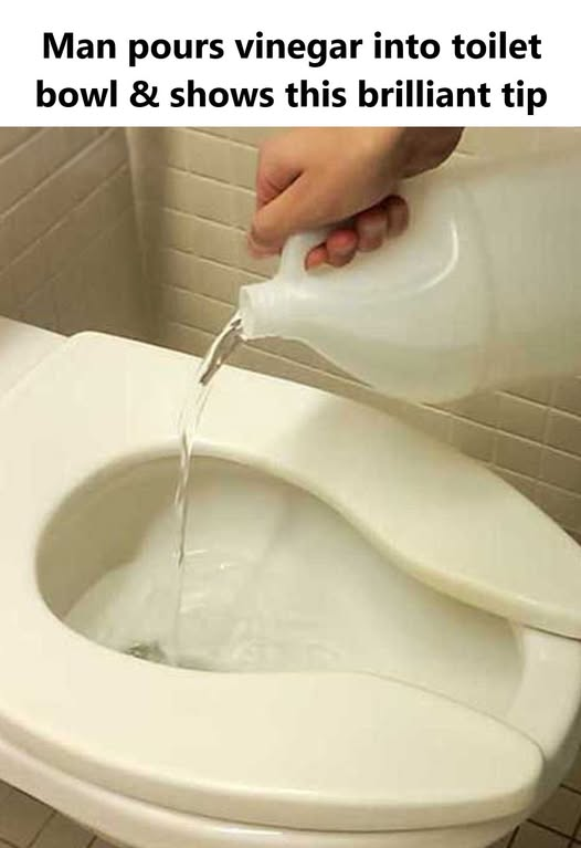 Man pours vinegar into toilet bowl & shows this brilliant tip