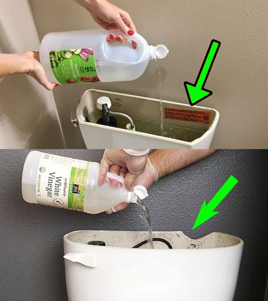 Vinegar in the bathroom solves a very annoying problem: many people do it.