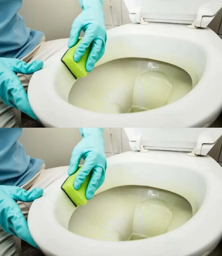 How to remove limescale stains from the toilet bowl and make it like new again