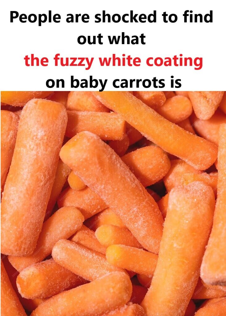 What The Fuzzy White Coating On Baby Carrots Is