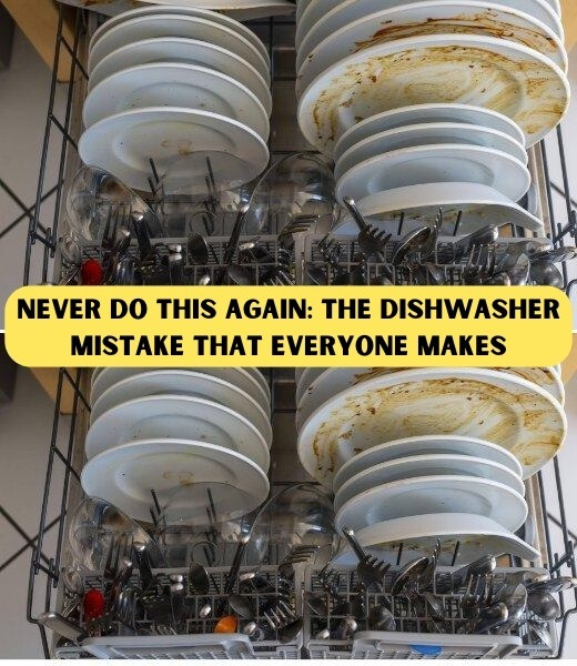 15 Mistakes That Can Shorten the Life of Your Dishwasher