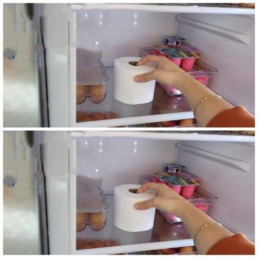 Put a roll of toilet paper in the fridge and you’ll be surprised by what happens.