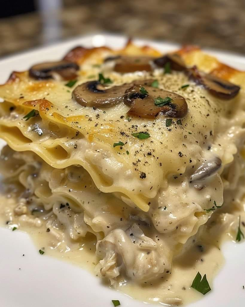 Creamy Mushroom Chicken Alfredo Lasagna