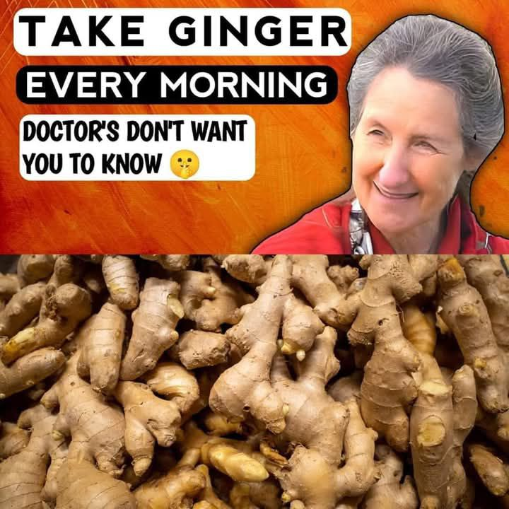 Stop Ignoring This Ginger Secret for Better Health Insights from Dr. Barbara O’Neill